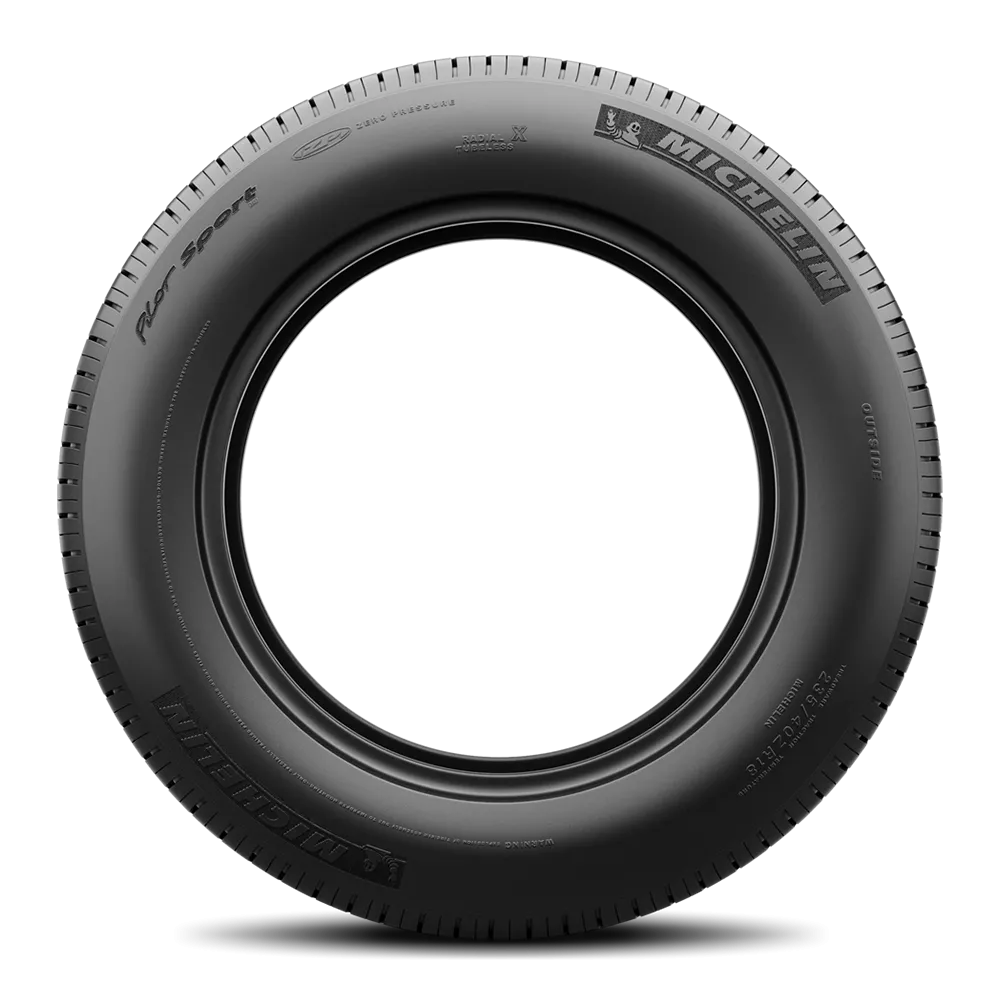 Michelin PILOT SPORT PS2 295/30R18
