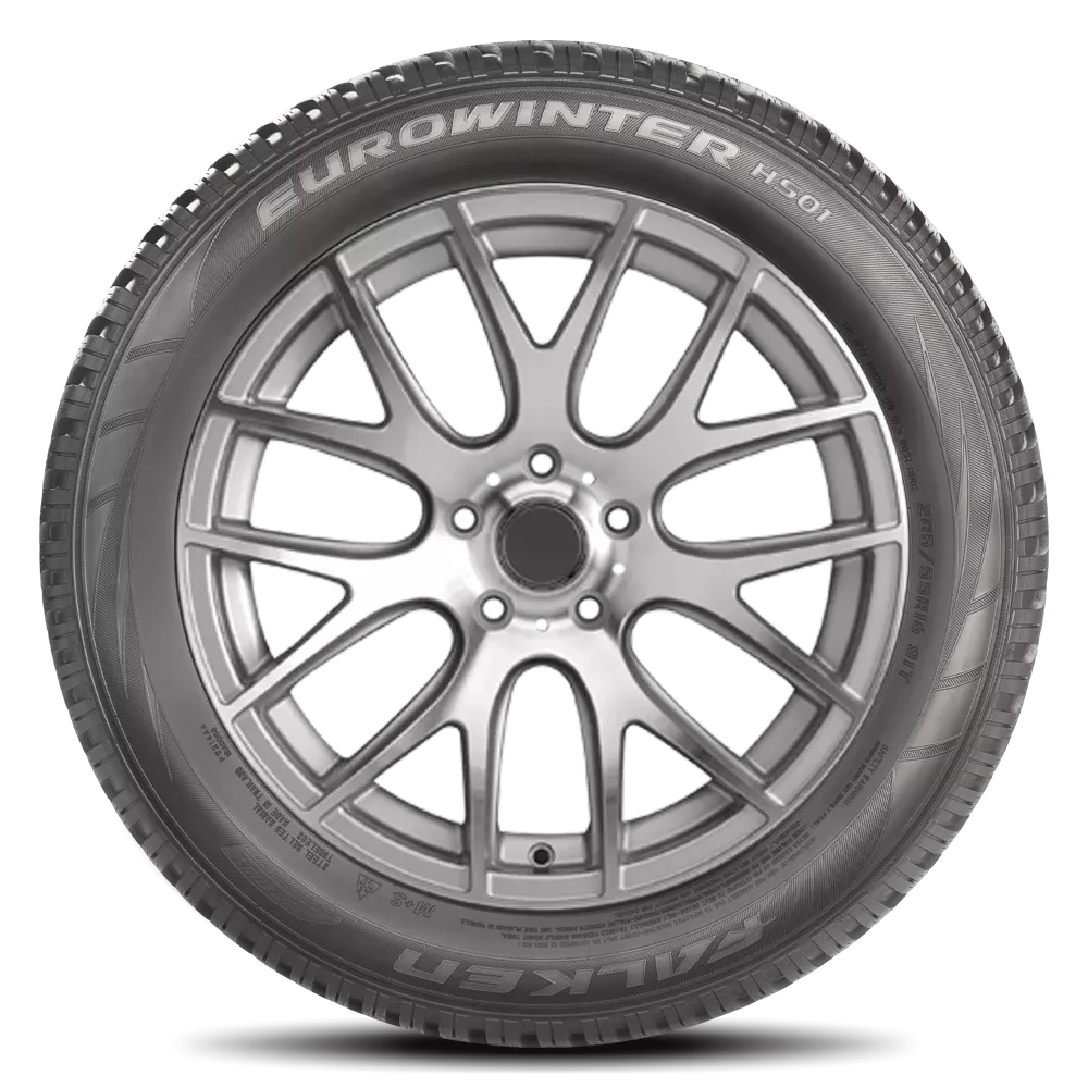 Falken EUROWINTER HS01 225/45R19