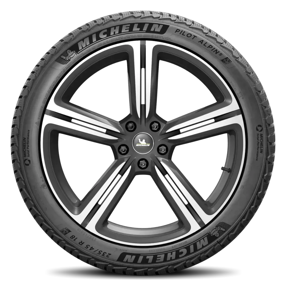 Michelin PILOT ALPIN 5 295/30R21