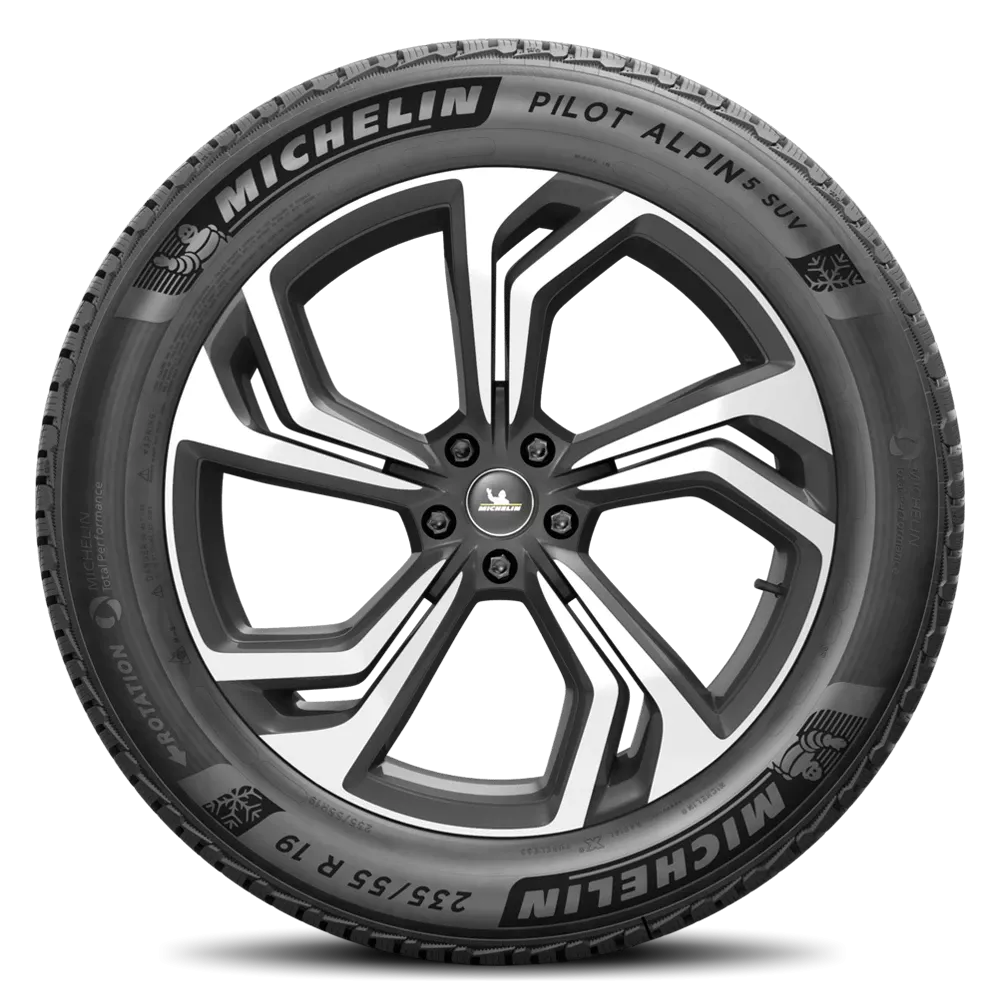 Michelin PILOT ALPIN 5 SUV 295/35R21