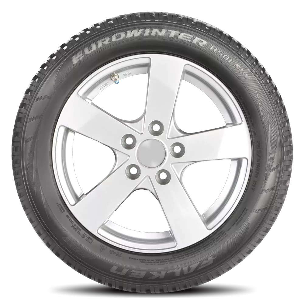 Falken EUROWINTER HS01 SUV 255/50R19