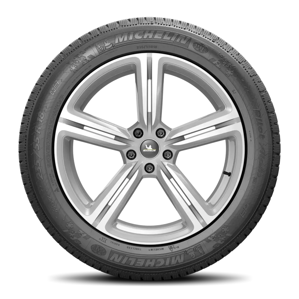 Michelin PILOT ALPIN PA4 295/30R20
